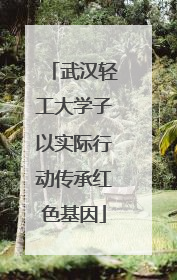 武汉轻工大学子以实际行动传承红色基因