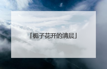 栀子花开的清晨