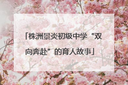 株洲景炎初级中学“双向奔赴”的育人故事