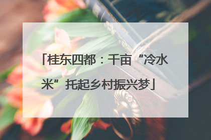 桂东四都：千亩“冷水米”托起乡村振兴梦