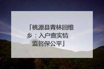 桃源县青林回维乡：入户查实情 监督保公平