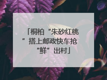 桐柏“朱砂红桃”搭上邮政快车抢“鲜”出村