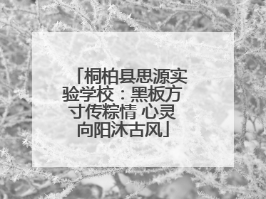 桐柏县思源实验学校：黑板方寸传粽情 心灵向阳沐古风