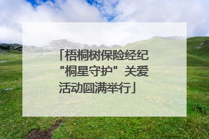 梧桐树保险经纪“桐星守护”关爱活动圆满举行