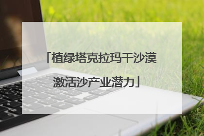 植绿塔克拉玛干沙漠 激活沙产业潜力