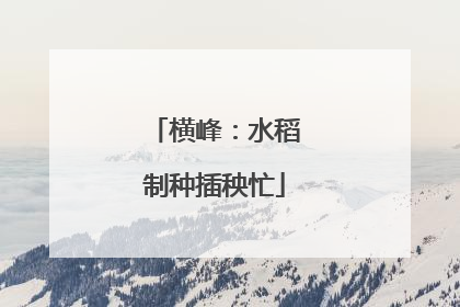 横峰：水稻制种插秧忙
