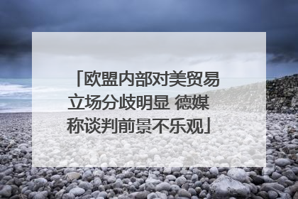 欧盟内部对美贸易立场分歧明显 德媒称谈判前景不乐观
