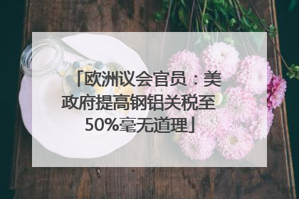 欧洲议会官员：美政府提高钢铝关税至50%毫无道理