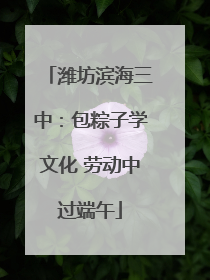 潍坊滨海三中：包粽子学文化 劳动中过端午