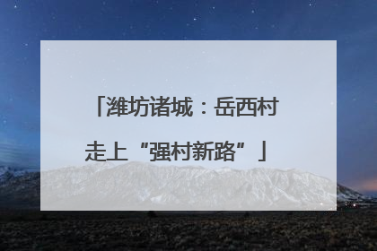 潍坊诸城：岳西村走上“强村新路”