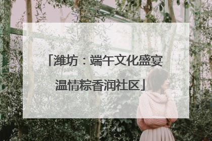 潍坊：端午文化盛宴 温情粽香润社区