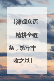 潍观众语｜精耕全链条，筑牢丰收之基