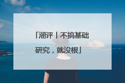 潮评丨不搞基础研究，就没根