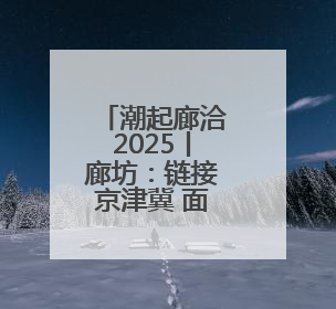 潮起廊洽2025丨廊坊：链接京津冀 面向全世界