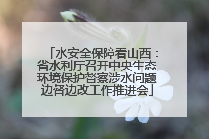 水安全保障看山西：省水利厅召开中央生态环境保护督察涉水问题边督边改工作推进会