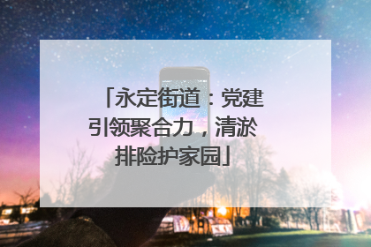 永定街道：党建引领聚合力，清淤排险护家园