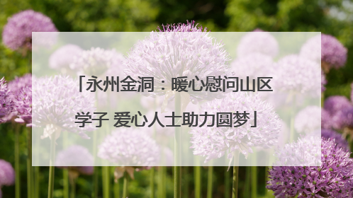 永州金洞：暖心慰问山区学子 爱心人士助力圆梦