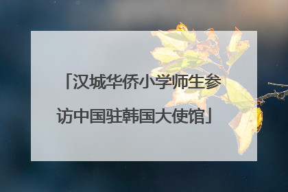 汉城华侨小学师生参访中国驻韩国大使馆