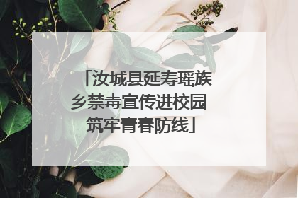 汝城县延寿瑶族乡禁毒宣传进校园 筑牢青春防线