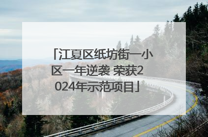 江夏区纸坊街一小区一年逆袭 荣获2024年示范项目