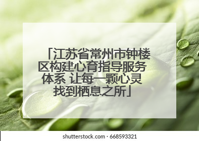 江苏省常州市钟楼区构建心育指导服务体系 让每一颗心灵找到栖息之所