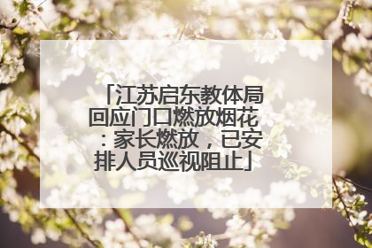 江苏启东教体局回应门口燃放烟花：家长燃放，已安排人员巡视阻止