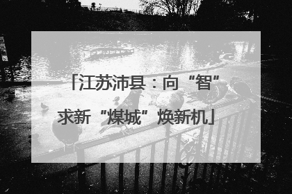 江苏沛县：向“智”求新“煤城”焕新机