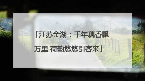 江苏金湖：千年藕香飘万里 荷韵悠悠引客来