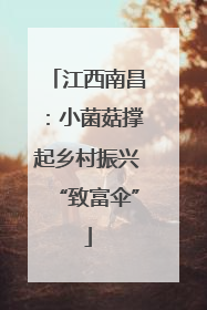 江西南昌：小菌菇撑起乡村振兴“致富伞”