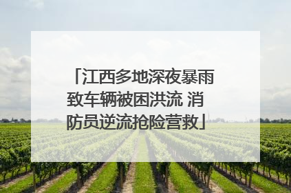 江西多地深夜暴雨致车辆被困洪流 消防员逆流抢险营救