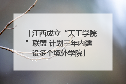 江西成立“天工学院”联盟 计划三年内建设多个境外学院
