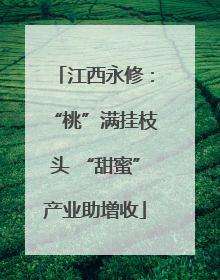 江西永修：“桃”满挂枝头 “甜蜜”产业助增收