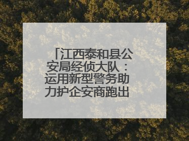 江西泰和县公安局经侦大队：运用新型警务助力护企安商跑出“加速度”