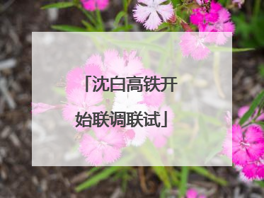 沈白高铁开始联调联试