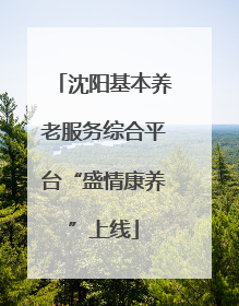沈阳基本养老服务综合平台“盛情康养”上线