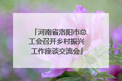 河南省洛阳市总工会召开乡村振兴工作座谈交流会