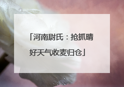 河南尉氏：抢抓晴好天气收麦归仓