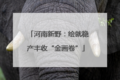 河南新野：绘就稳产丰收“金画卷”