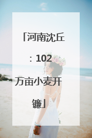 河南沈丘：102 万亩小麦开镰