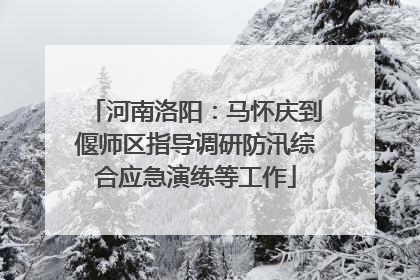 河南洛阳：马怀庆到偃师区指导调研防汛综合应急演练等工作