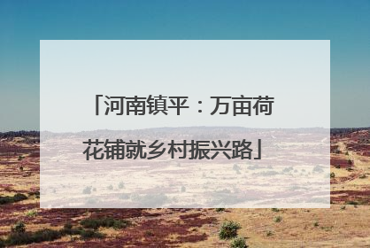 河南镇平：万亩荷花铺就乡村振兴路