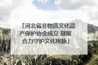 河北省非物质文化遗产保护协会成立 凝聚合力守护文化根脉