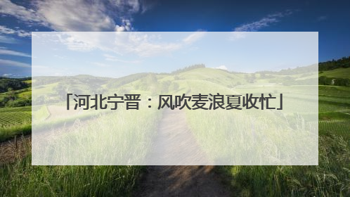 河北宁晋：风吹麦浪夏收忙