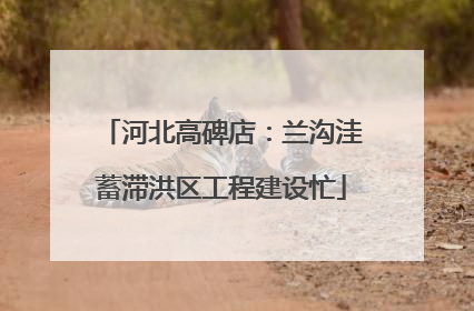 河北高碑店：兰沟洼蓄滞洪区工程建设忙