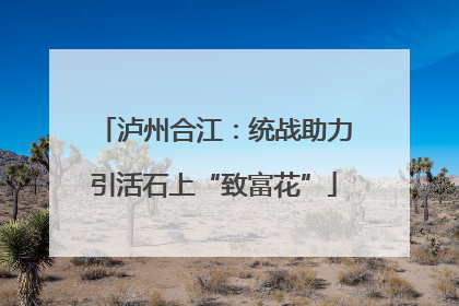 泸州合江：统战助力引活石上“致富花”