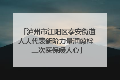 泸州市江阳区泰安街道人大代表新阶力量润桑梓 二次医保暖人心