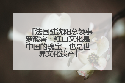 法国驻沈阳总领事罗毅睿：红山文化是中国的瑰宝，也是世界文化遗产