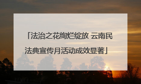 法治之花绚烂绽放 云南民法典宣传月活动成效显著