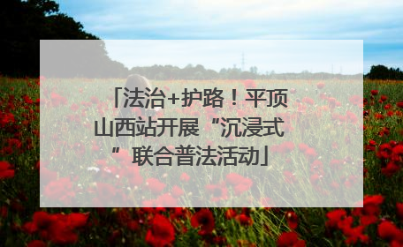法治+护路！平顶山西站开展“沉浸式”联合普法活动