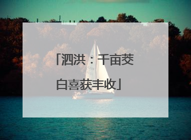 泗洪：千亩茭白喜获丰收